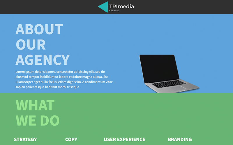 TRIMedia Agency preview