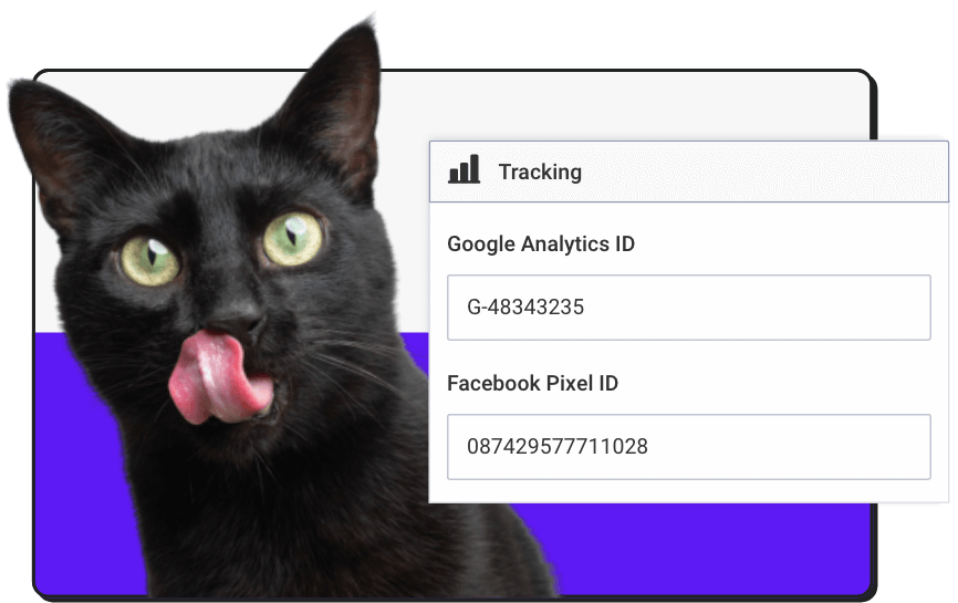 Google & Facebook Tracking Setup
